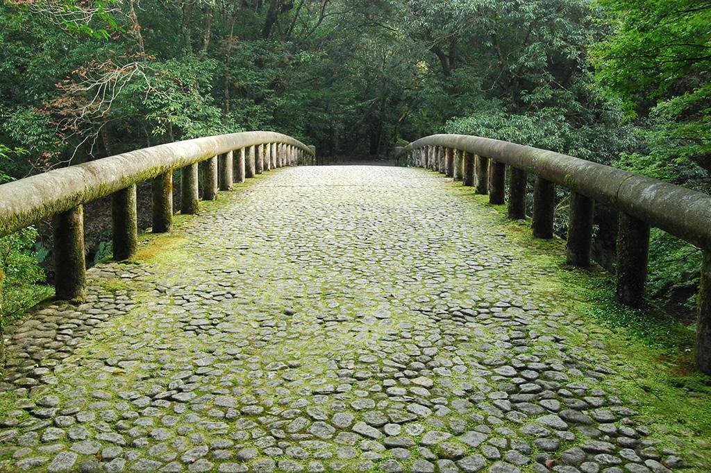 👑 아이 산 위 능 (아이란 산료) 이미지 4